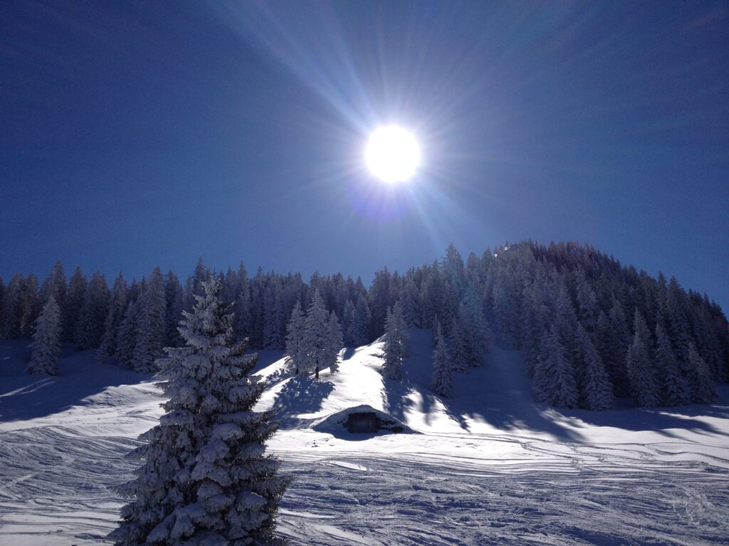 Home Winterpanorama mit tiefstehender Sonne über verschneitem Wald