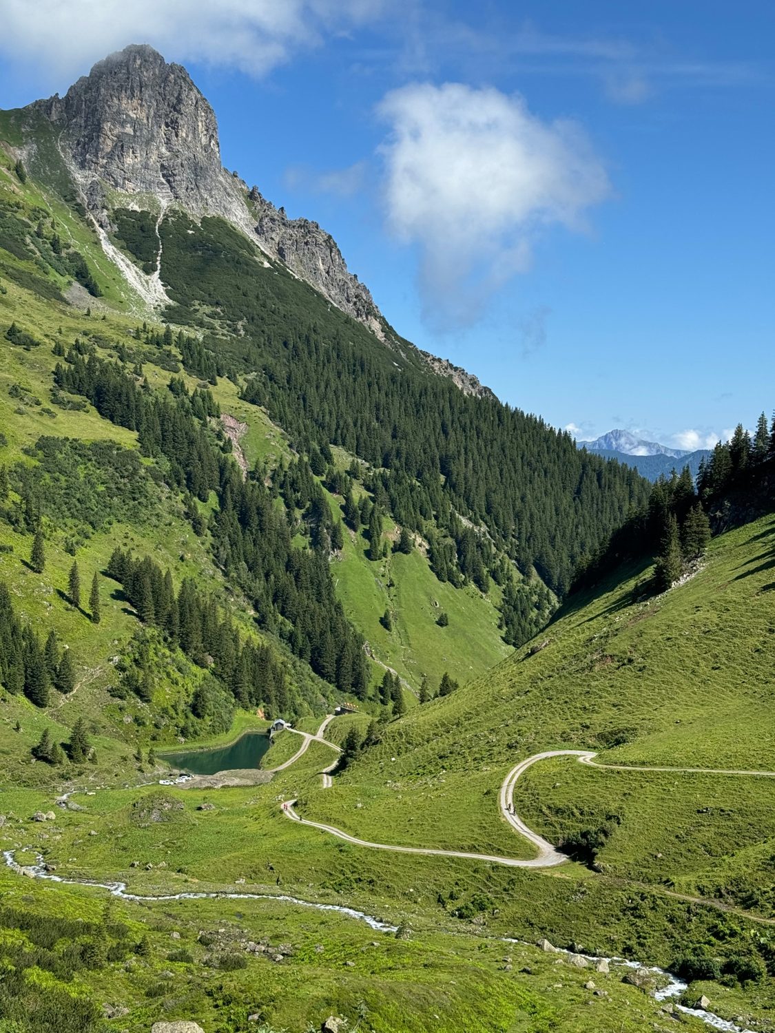 Bergweg im grünen Tal mit Felsgipfel